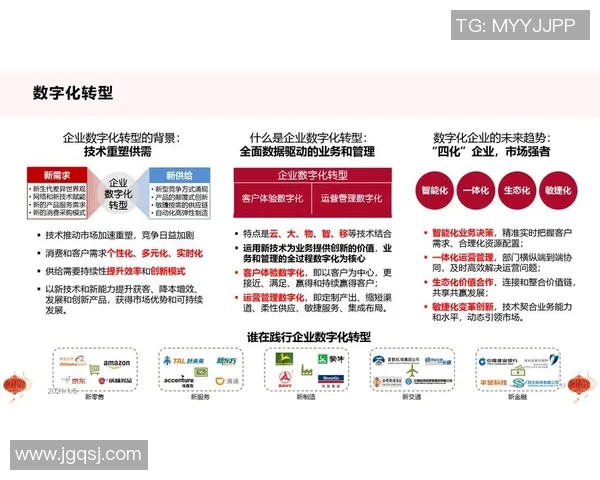 从AL到CFO角色演变探析企业战略与财务领导力转型