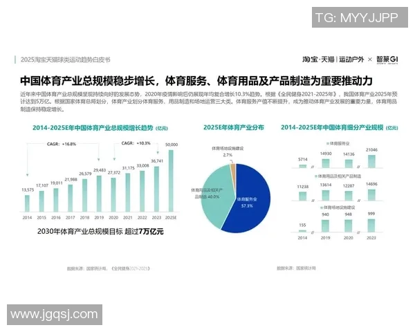 全面解析全球体育发展趋势与新兴运动项目的兴起及其影响