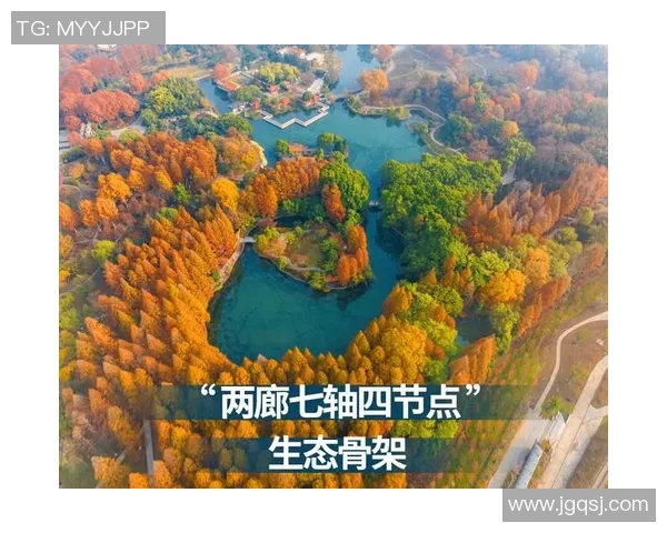 聚焦马克戴维斯探寻体育商业与文化融合新路径